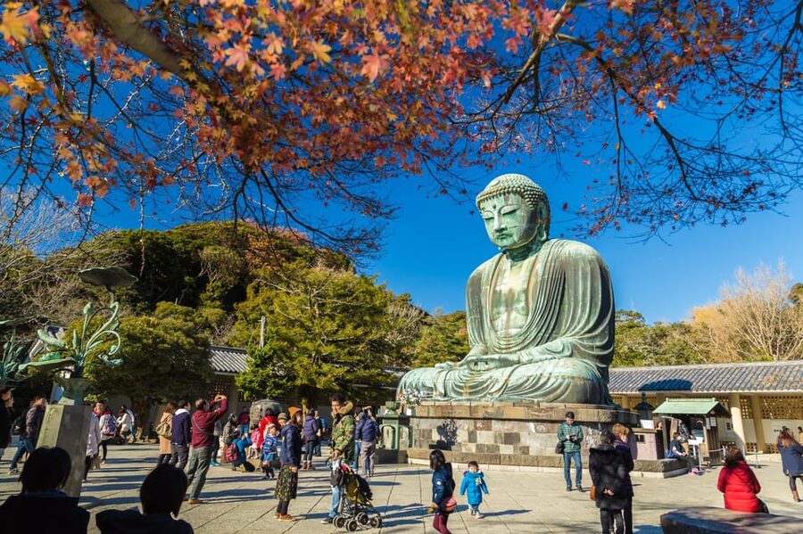 From Tokyo: Kamakura Full Day Tour with a Local Expert Guide - Tsurugaoka Hachimangu Shrine, Where the Day Gains Meaning