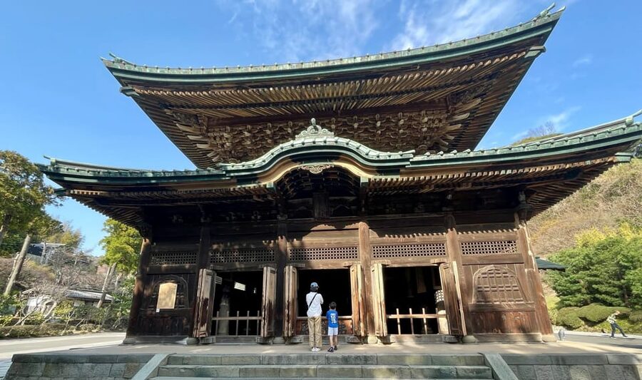 From Tokyo: Kamakura Full Day Tour with a Local Expert Guide - Who This Tour Fits Best (And Who Might Want a Different Option)