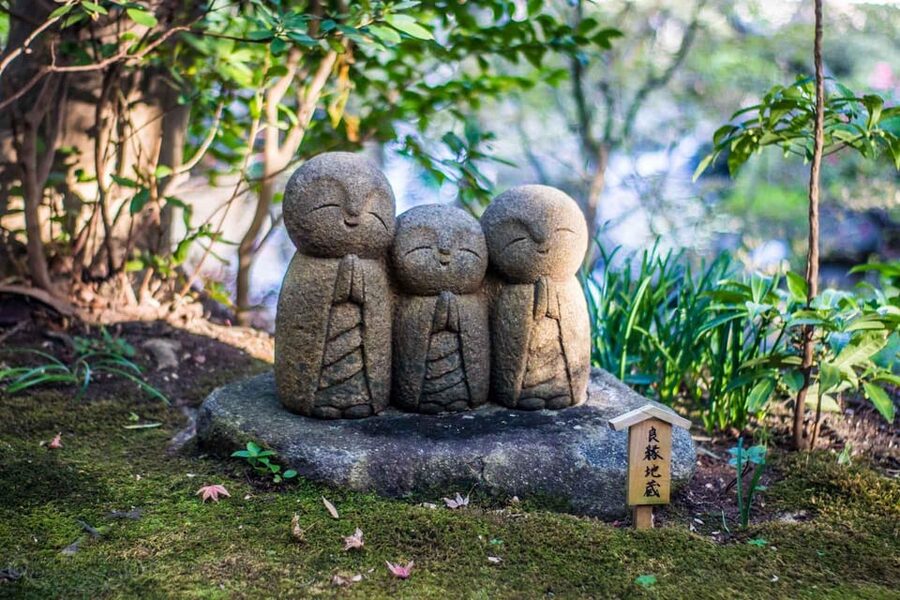 From Tokyo: Kamakura Full Day Tour with a Local Expert Guide - Great Buddha First, with the Story That Makes It Stick