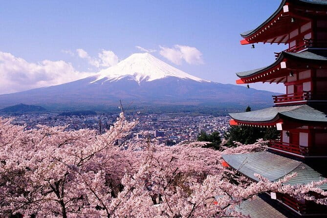 From Tokyo Kamakura, Hachimangu Shrine and Enoshima Full Day Tour - Enoshima Island: Shrines, Benzaiten, and the View Climb