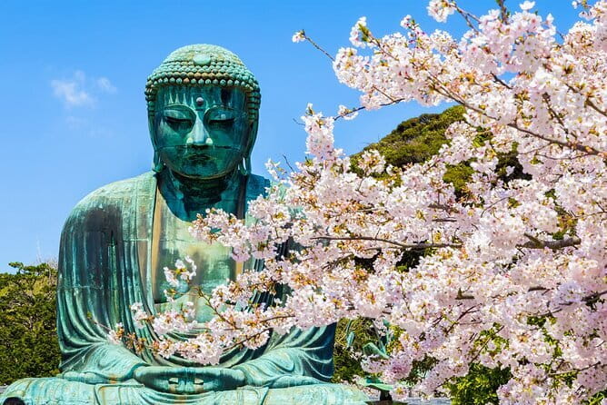From Tokyo Kamakura, Hachimangu Shrine and Enoshima Full Day Tour - Getting There: Pickup Points, Meeting the Guide, and Timing Reality