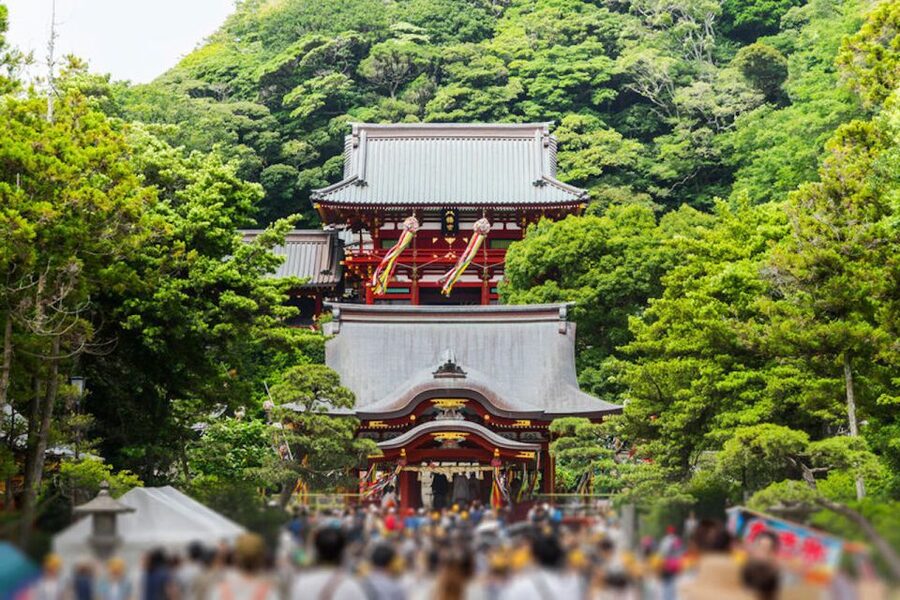 From Tokyo: Kamakura Private Customize Tour by Luxury Van - Enoshima island: Benten shrines and possible Mount Fuji views