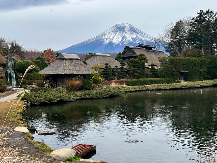 From Tokyo: Mount Fuji and Hakone Private Day Trip - Key points worth knowing