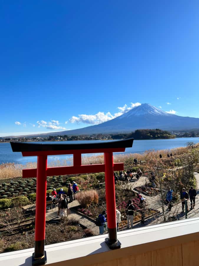 From Tokyo: Mount Fuji and Hakone Private Day Trip - Price and Logistics, What $438 Covers and What to Budget