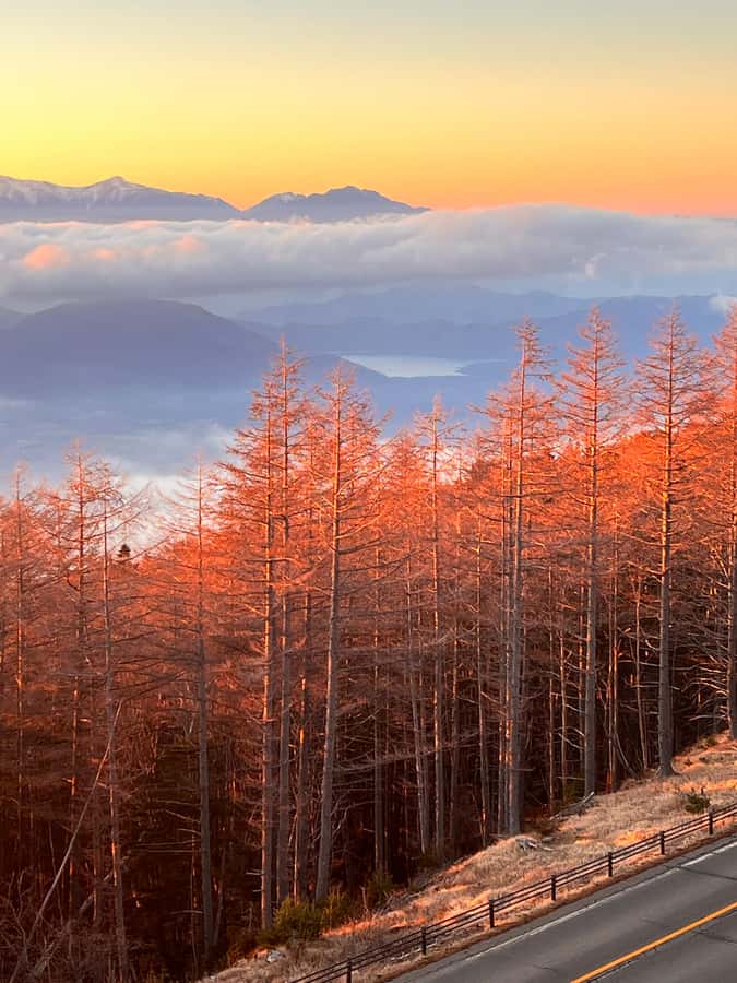 From Tokyo: Mount Fuji and Hakone Private Day Trip - A Private Van Day That Hits Fuji and Hakone in One Route