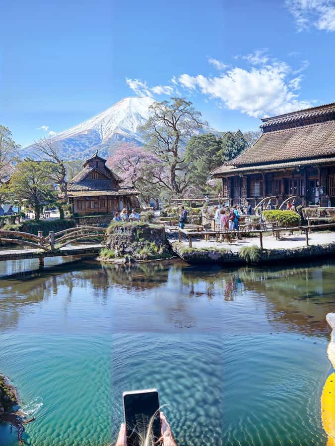 From Tokyo: Mount Fuji and Hakone Private Day Trip - Chureito Pagoda and Fuji Sengen Shrines, Views in Color and Shade