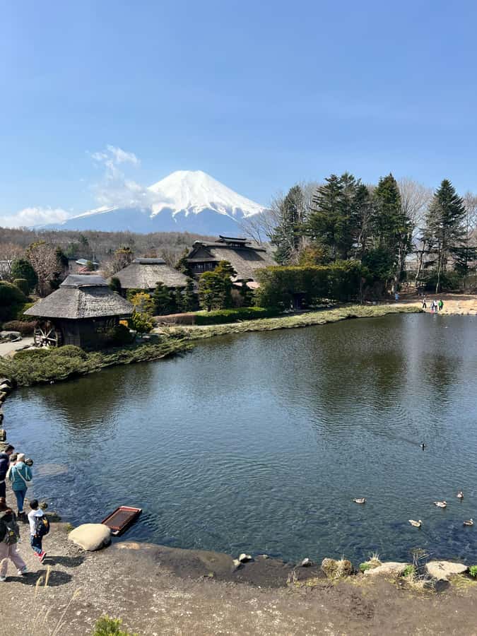 From Tokyo: Mount Fuji and Hakone Private Day Trip - Oshino Hakkai’s Eight Ponds, Snowmelt to Village Calm