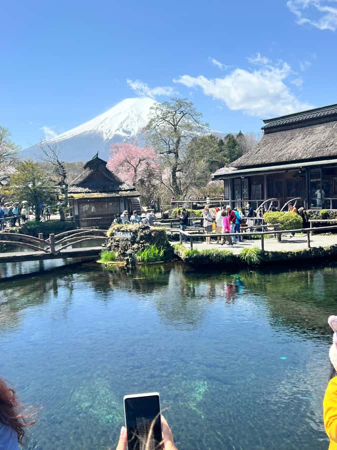 From Tokyo: Mount Fuji and Hakone Private Day Trip - Lake Ashi Pirate Cruise and Hakone Open Air Museum