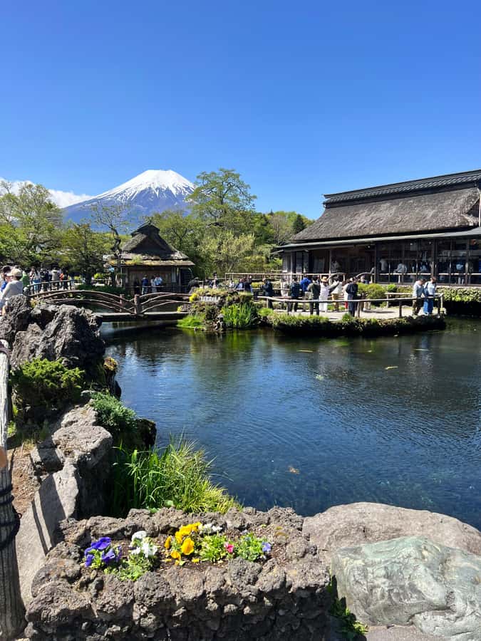 From Tokyo: Mount Fuji and Hakone Private Day Trip - Lunch and Onsen Time, How to Keep the Day Comfortable