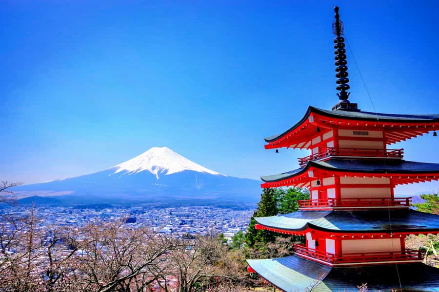 From Tokyo: Mount Fuji and Hakone Private Day Trip - Subaru 5th Station at 2,300 Meters, Plus Tenjosan Komitake Shrine