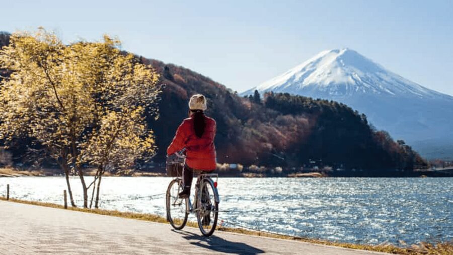From Tokyo: Mount Fuji Full Customized Tour English Guide - Why a Private Fuji Day Beats DIY When Time Matters