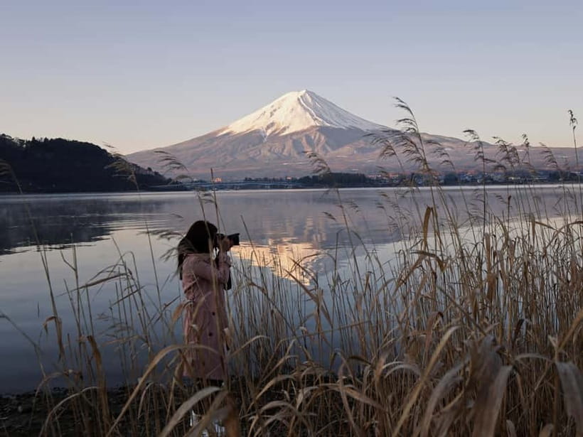 From Tokyo: Mount Fuji Full-Day Customizable Private Tour - Private Tokyo pickup that turns a long day into a manageable one
