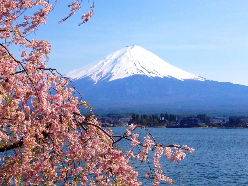 From Tokyo: Mount Fuji Full-Day Customizable Private Tour - Lake Kawaguchi: ropeway views and boat time that adds real variety