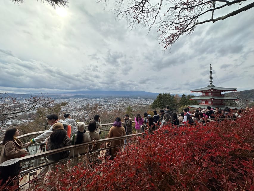 From Tokyo: Mount Fuji Full-Day Customizable Private Tour - Oishi Park and Oshino Hakkai, the rural contrast