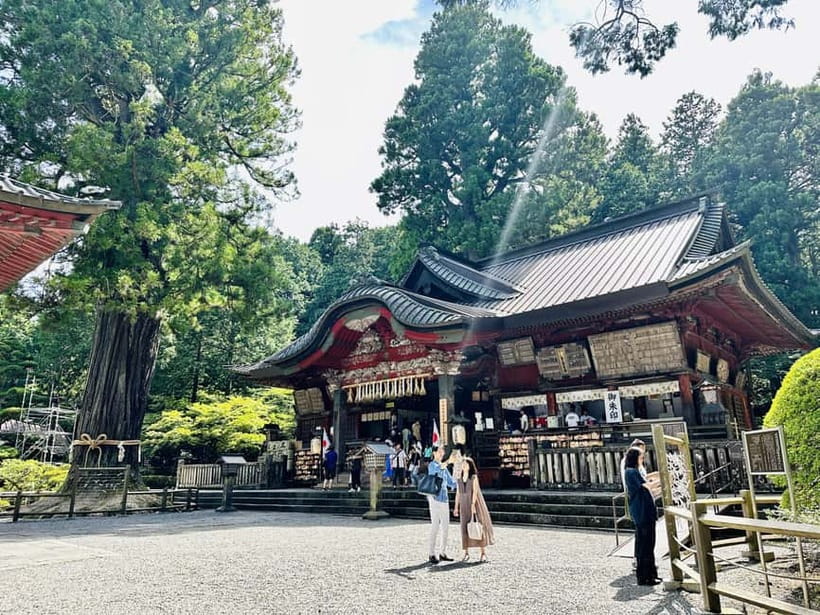 From Tokyo: Mount Fuji Full-Day Customizable Private Tour - How the driver experience shapes the whole day