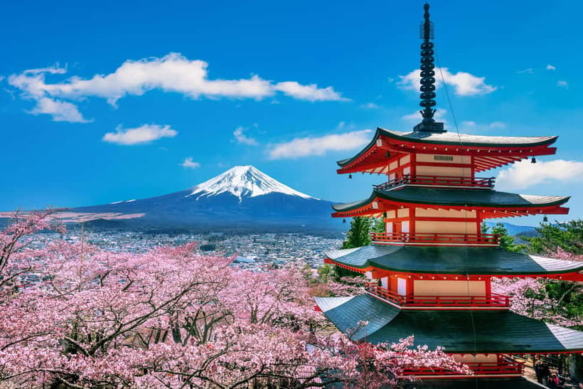 From Tokyo: Mount Fuji Full Day Private Customizable Tour - A Private Mt. Fuji Day From Tokyo That You Actually Control