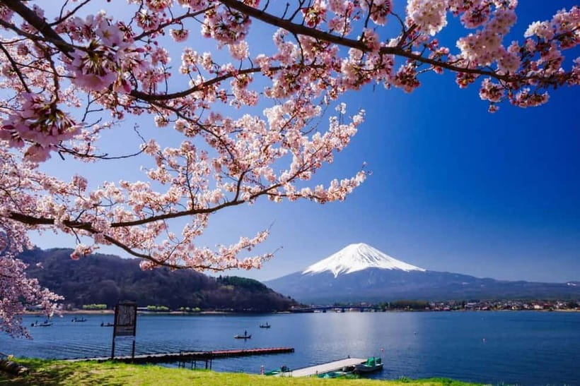 From Tokyo: Mount Fuji Full Day Private Customizable Tour - Chasing Fuji From Kawaguchiko to Oishi Park (The Classics, Done With Sense)