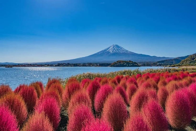 From Tokyo: Mount Fuji Full Day Private Customizable Tour - Early Starts, Traffic, and Why 6am Keeps Coming Up