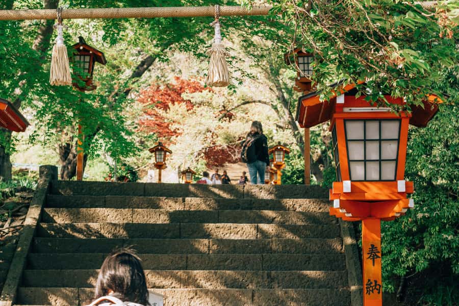 From Tokyo: Mount Fuji Full-Day Private Tour (Customizable) - Timing, tickets, and what to pack for a smooth day