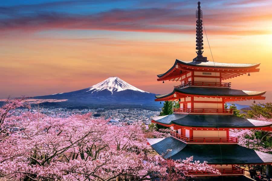 From Tokyo: Mount Fuji Full-Day Private Tour (Customizable) - Lake Kawaguchiko: the Fuji reflection stop that makes the day feel real
