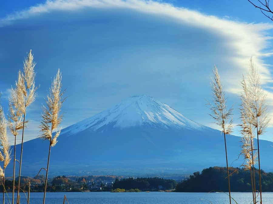 From Tokyo: Mount Fuji Full-Day Private Tour (Customizable) - Chureito Pagoda at Arakurayama Sengen Park: Fuji’s postcard view, up close