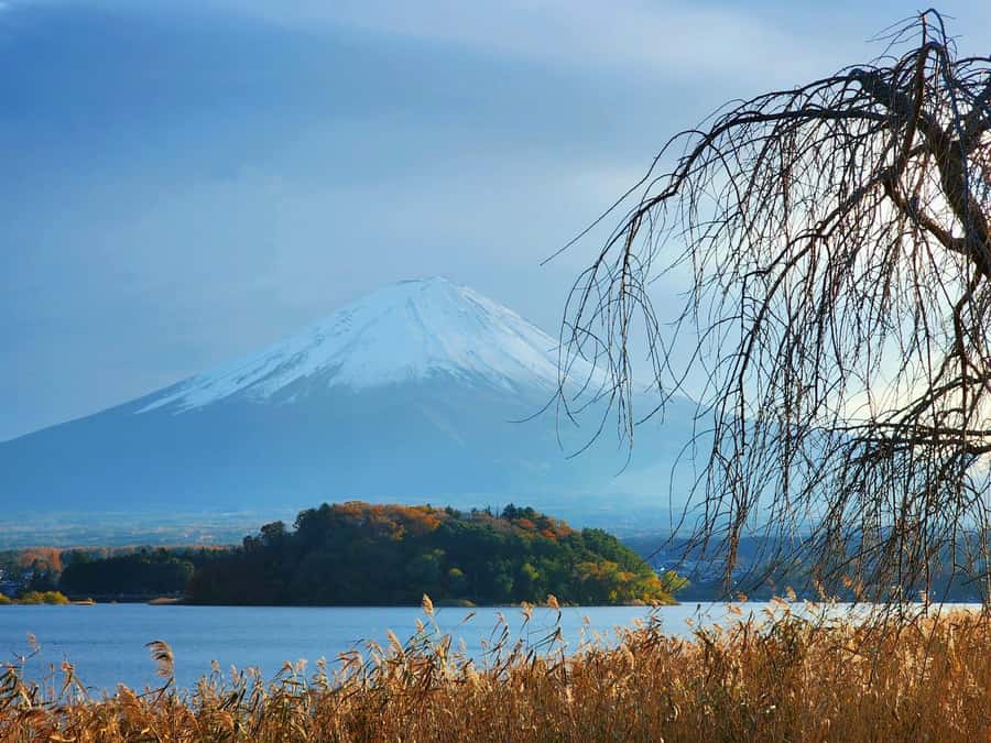 From Tokyo: Mount Fuji Full-Day Private Tour (Customizable) - Oshino Hakkai: spring-fed ponds and a village that slows you down