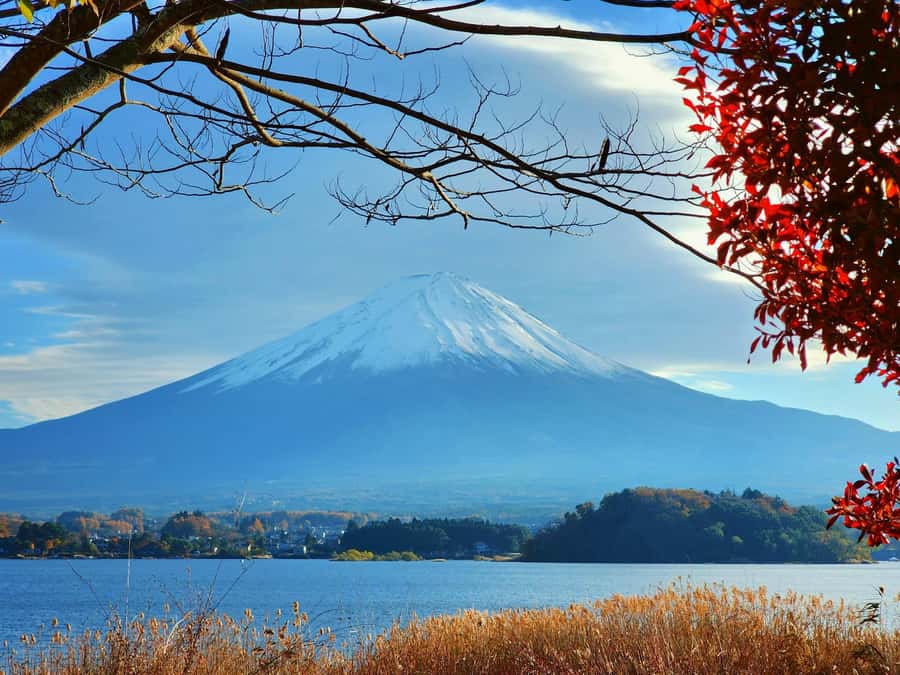 From Tokyo: Mount Fuji Full-Day Private Tour (Customizable) - Subaru Line 5th or 6th Station: the high-altitude payoff, weather permitting