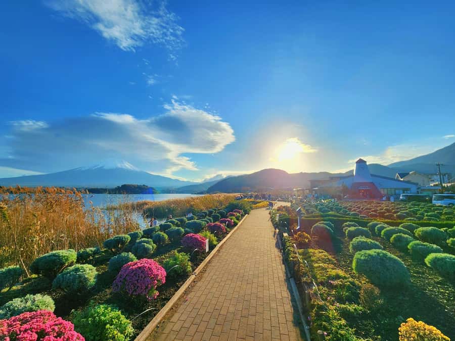 From Tokyo: Mount Fuji Full-Day Private Tour (Customizable) - How customization actually helps, not just in theory