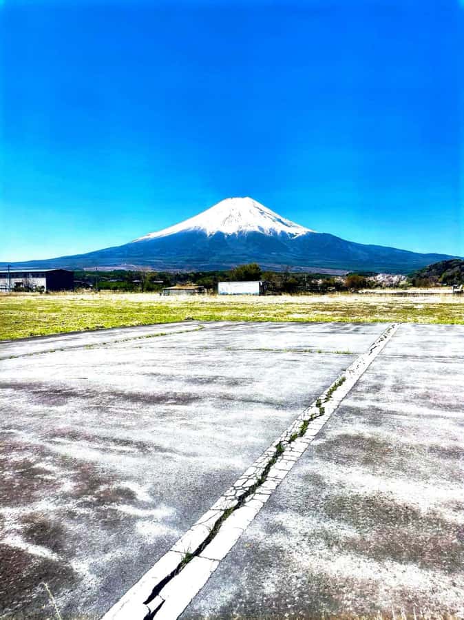 From Tokyo: Mount Fuji Full Day Private Tour English Guide - Key Highlights You’ll Actually Care About