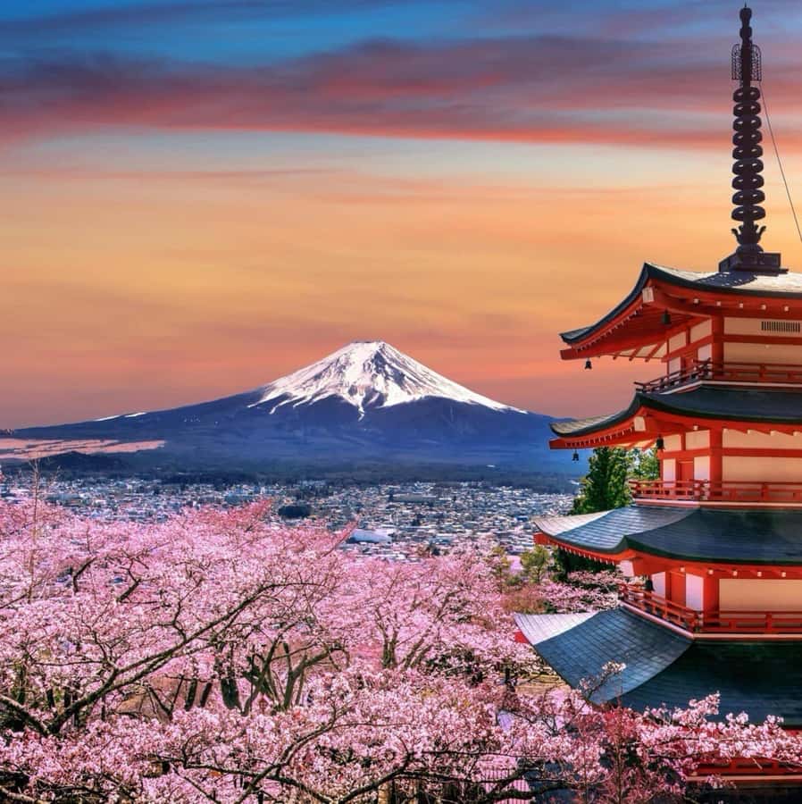 From Tokyo: Mount Fuji Full Day Private Tour English Guide - Mount Fuji 5th Station at 2,300 Meters: Big Views, Real Weather Rules
