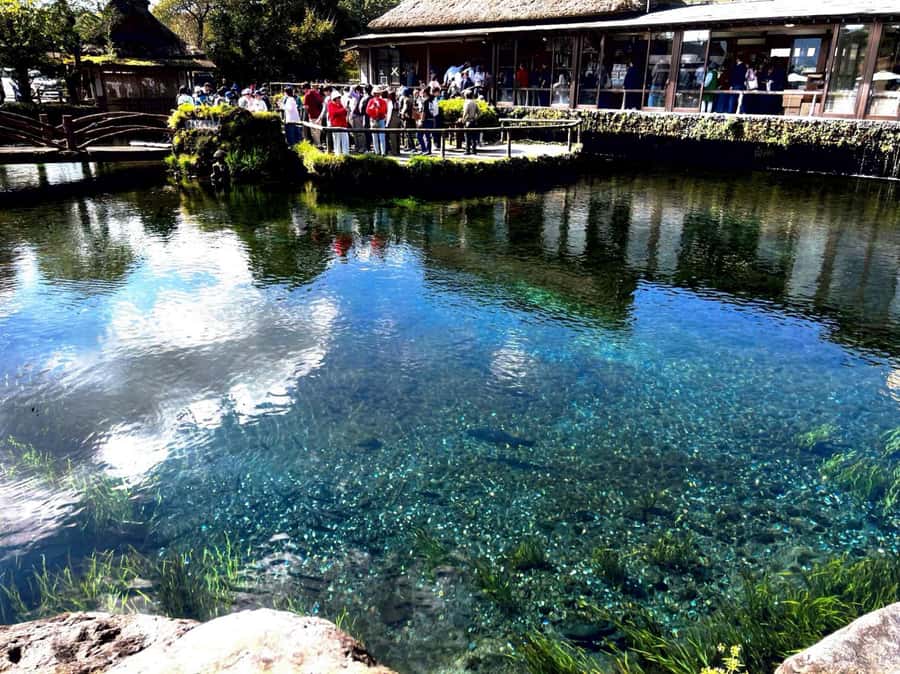 From Tokyo: Mount Fuji Full Day Private Tour English Guide - Oshino Hakkai: Eight Ponds, Easy Walking, Great Fuji Reflections