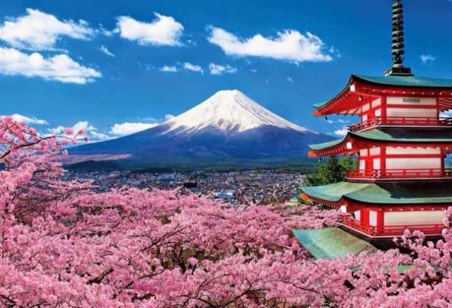 From Tokyo: Mount Fuji Full Day Private Tour English Guide - Lunch, Entrance Fees, and What Your Budget Should Include