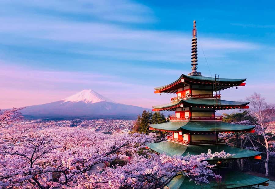 From Tokyo: Mount Fuji Full Day Private Tour English Guide - Timing Tips That Make the Day Feel Effortless