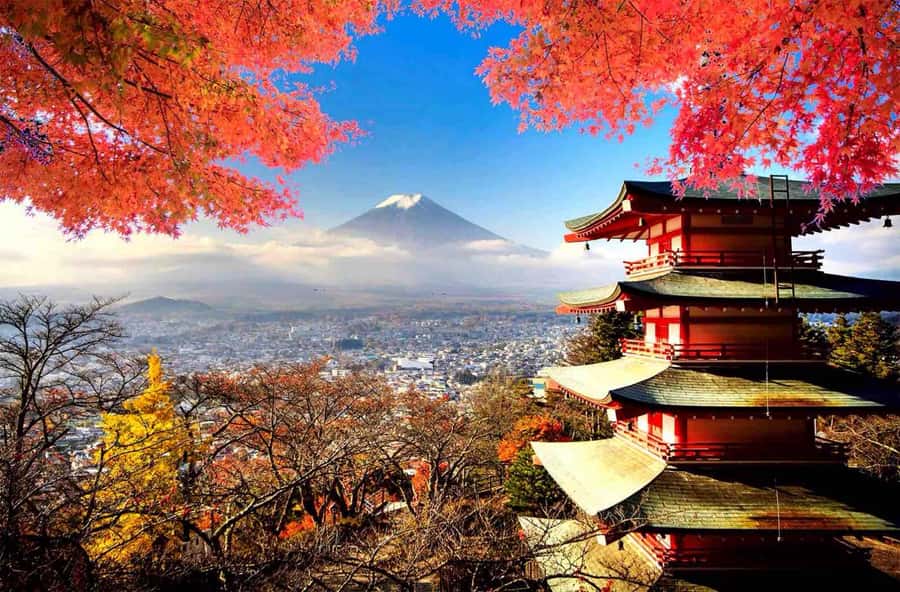 From Tokyo: Mount Fuji Full Day Private Tour English Guide - Pickup, Route Pace, and the 9 to 10 Hour Reality