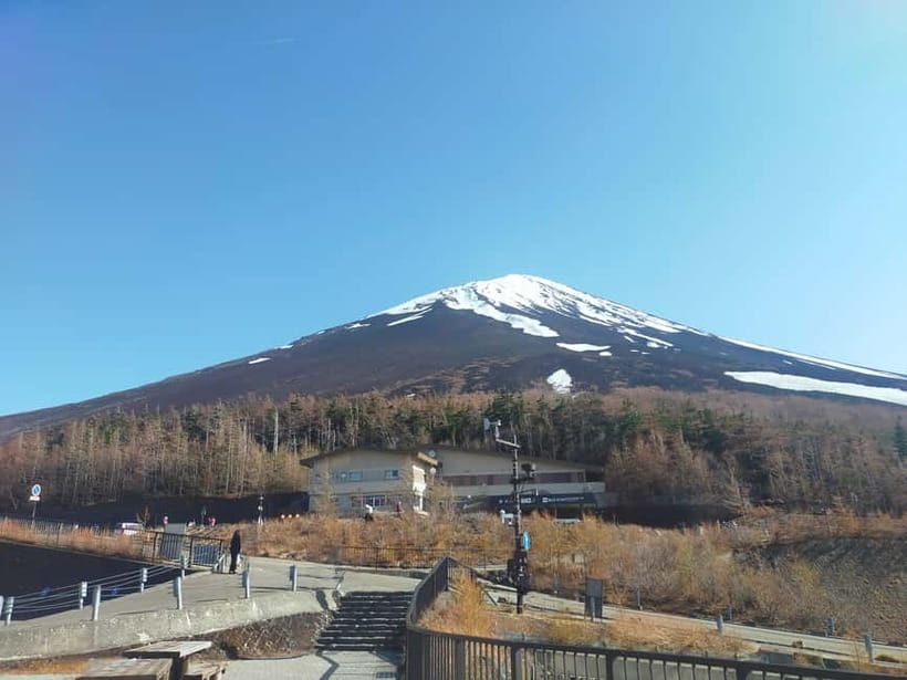 From Tokyo: Mount Fuji Full-Day Sightseeing Trip - Who should book this Mount Fuji day trip from Tokyo?