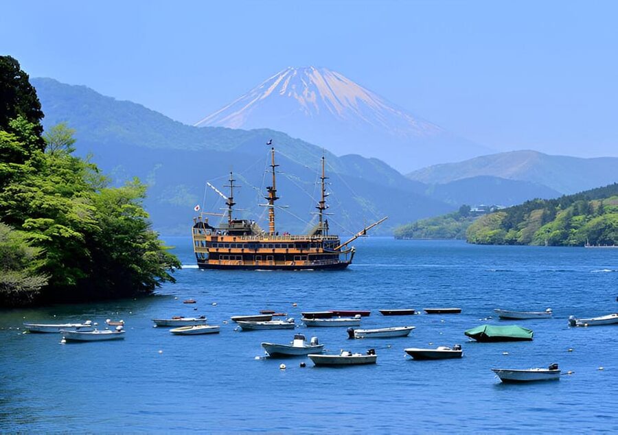 From Tokyo: Mount Fuji & Hakone Full Day Private Tour - The timing you should plan around (Tokyo roads can be brutal)