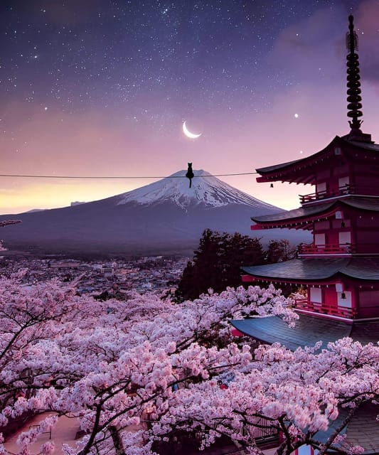 From Tokyo: Mount Fuji & Hakone Full Day Private Tour - Chureito Pagoda and Kitaguchi-hongu Fuji Sengen Shrine: classic Fuji symbolism