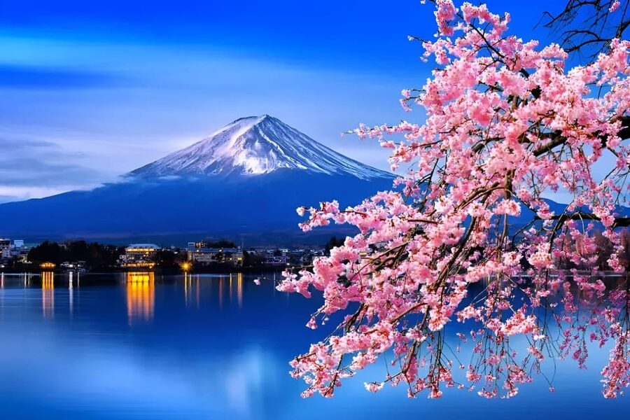 From Tokyo: Mount Fuji & Hakone Full Day Private Tour - Price and logistics: $354 for up to 6 is the real value play