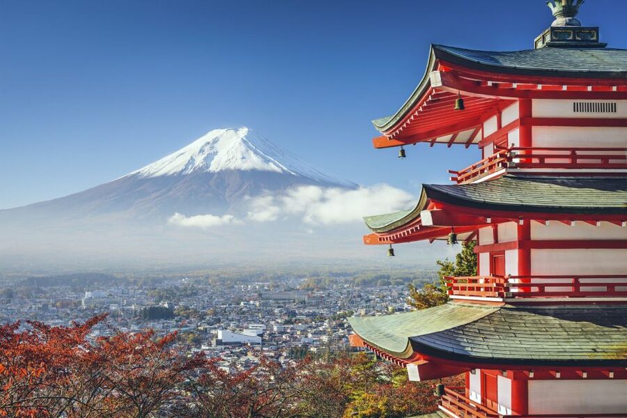 From Tokyo: Mount Fuji Private Day Tour - Who this tour suits best, and who should pass