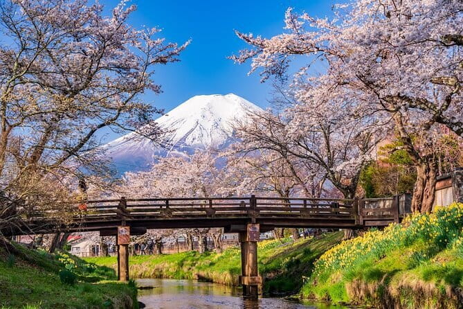 From Tokyo: Mount Fuji Sightseeing One Day Trip - Key Points You Should Know Before You Go