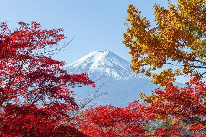 From Tokyo: Mount Fuji Sightseeing One Day Trip - Chureito Pagoda and Arakura Shrine: The Classic Postcard Start
