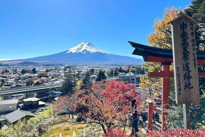 From Tokyo: Mount Fuji Sightseeing One Day Trip - Time, Pace, and When the Day Feels Rushed
