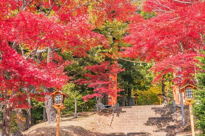 From Tokyo: Mount Fuji Sightseeing One Day Trip - Lake Kawaguchiko and Oishi Park: Where You’ll Hunt the Best Fuji Angle