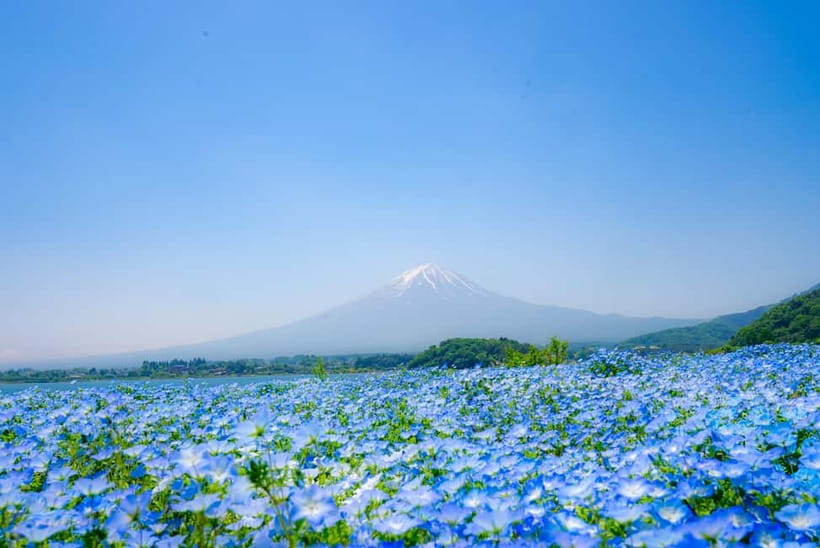 From Tokyo: Mt Fuji, Arakurayama and Kawaguchi Lake Day Trip - Mt Fuji weather: how to handle clear skies or grey skies