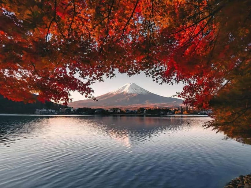 From Tokyo: Mt Fuji, Arakurayama and Kawaguchi Lake Day Trip - Tokyo Station pickup, your day schedule, and staying on time