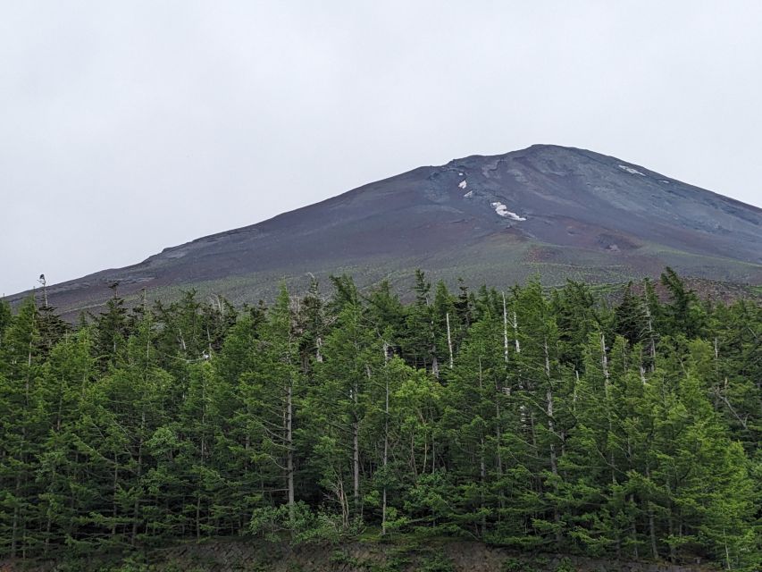 From Tokyo: Mt. Fuji & Hakone Tour w/ Return by Bullet Train - Guides You Might Get: Names That Show the Human Touch