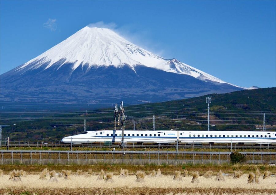 From Tokyo: Mt. Fuji & Hakone Tour w/ Return by Bullet Train - The Bullet Train Return From Odawara, With Real-Life Logistics