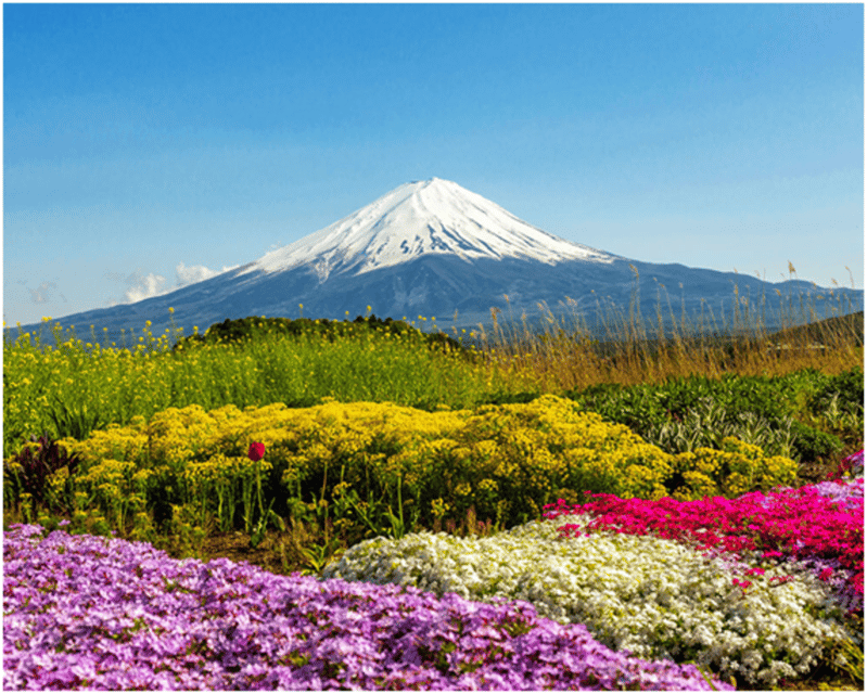 From Tokyo: Mt.Fuji, Lake Kawaguchi, Oshino Hakkai Day Tour - Lake Kawaguchiko matcha experience: a short ceremony that still feels real