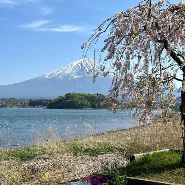 From Tokyo: Mt Fuji Private Day Tour In Luxury Land Cruiser - Key highlights that matter before you go
