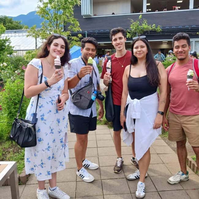 From Tokyo: Mt Fuji Private Day Tour In Luxury Land Cruiser - Arakurayama Sengen Park to Chureito Pagoda: the classic photo angle